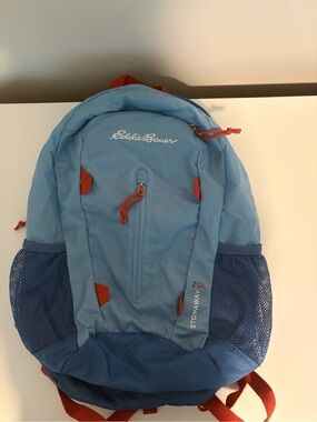 Eddie Bauer 20L Stowaway Backpack